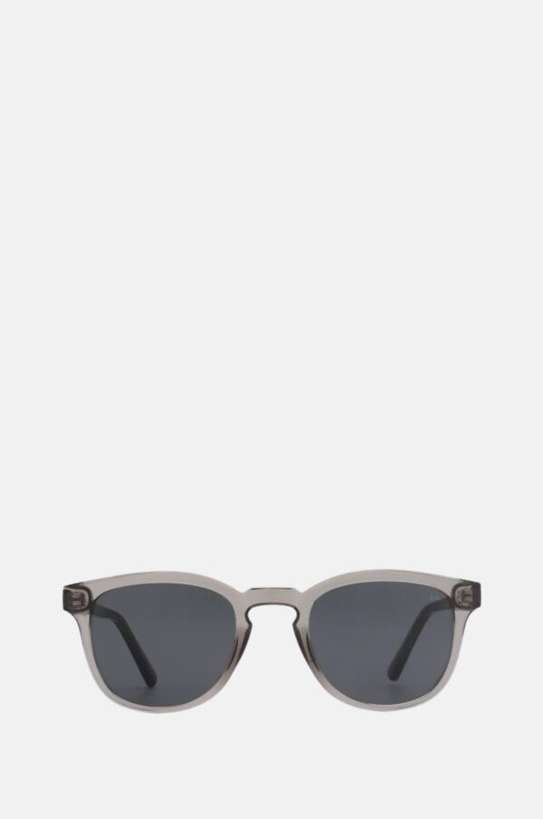 Rudani Bate Grey Transparent Sunglasses