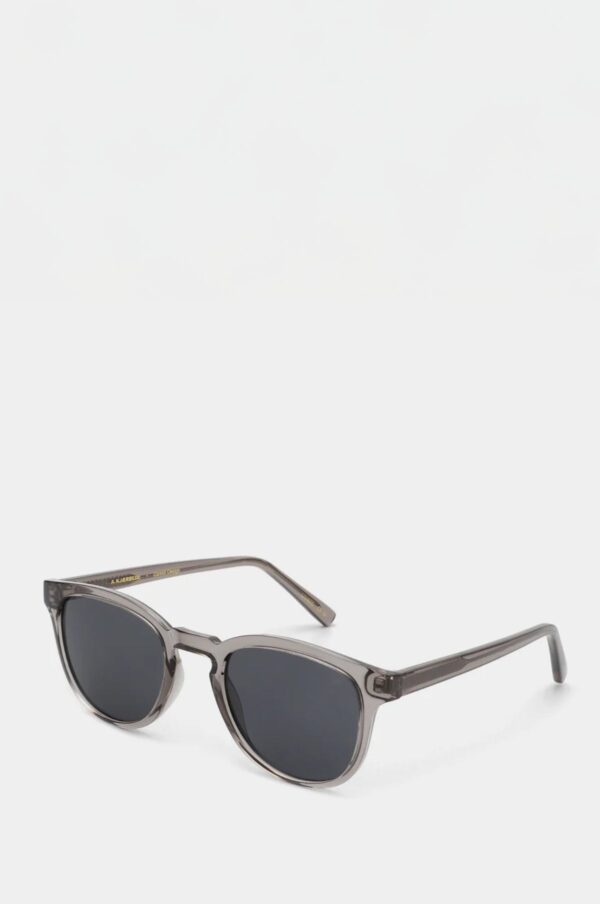 Rudani Bate Grey Transparent Sunglasses - Image 3