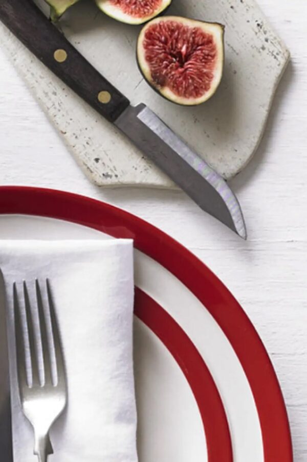 Rudani Cornish Red Main Plate - Image 3