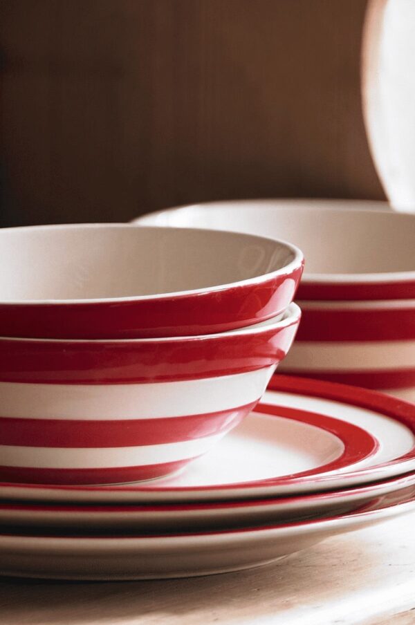 Rudani Cornish Red Main Plate - Image 2